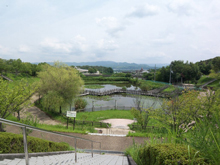 木津川台公園