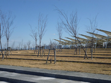 大津湖岸なぎさ公園